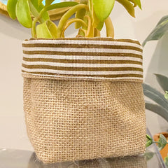 Reversible Burlap Plant Cover